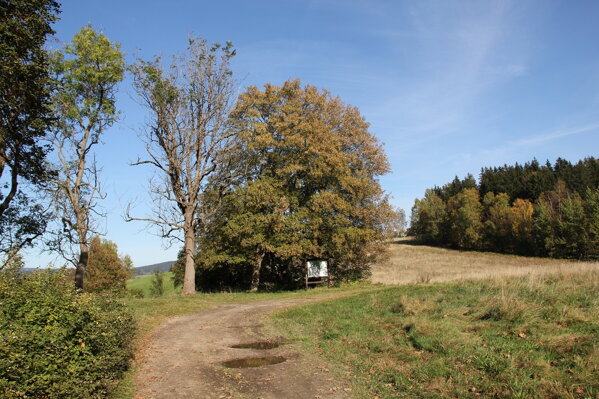 před chatou